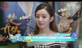 林更新赵丽颖圈内爆料,揭秘娱乐圈背后的真实故事