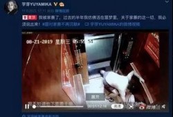 网红家庭爆料视频大全集,揭秘幕后生活点滴